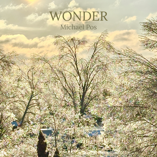 Michael Pos – Wonder -  2 Weeks | 1 Song: 1st in Series [Digital Download]